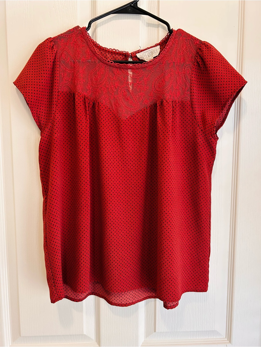 Sweet Wanderer Rust Polka Dot Lace Yoke Blouse